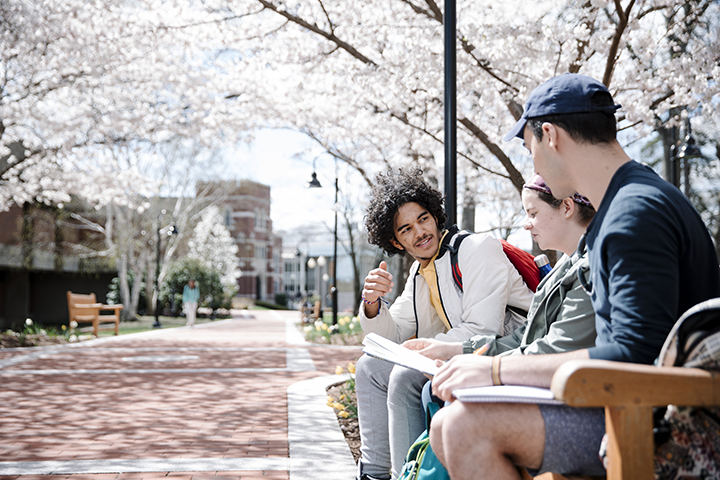 Students sitting on a bench on campus walk
